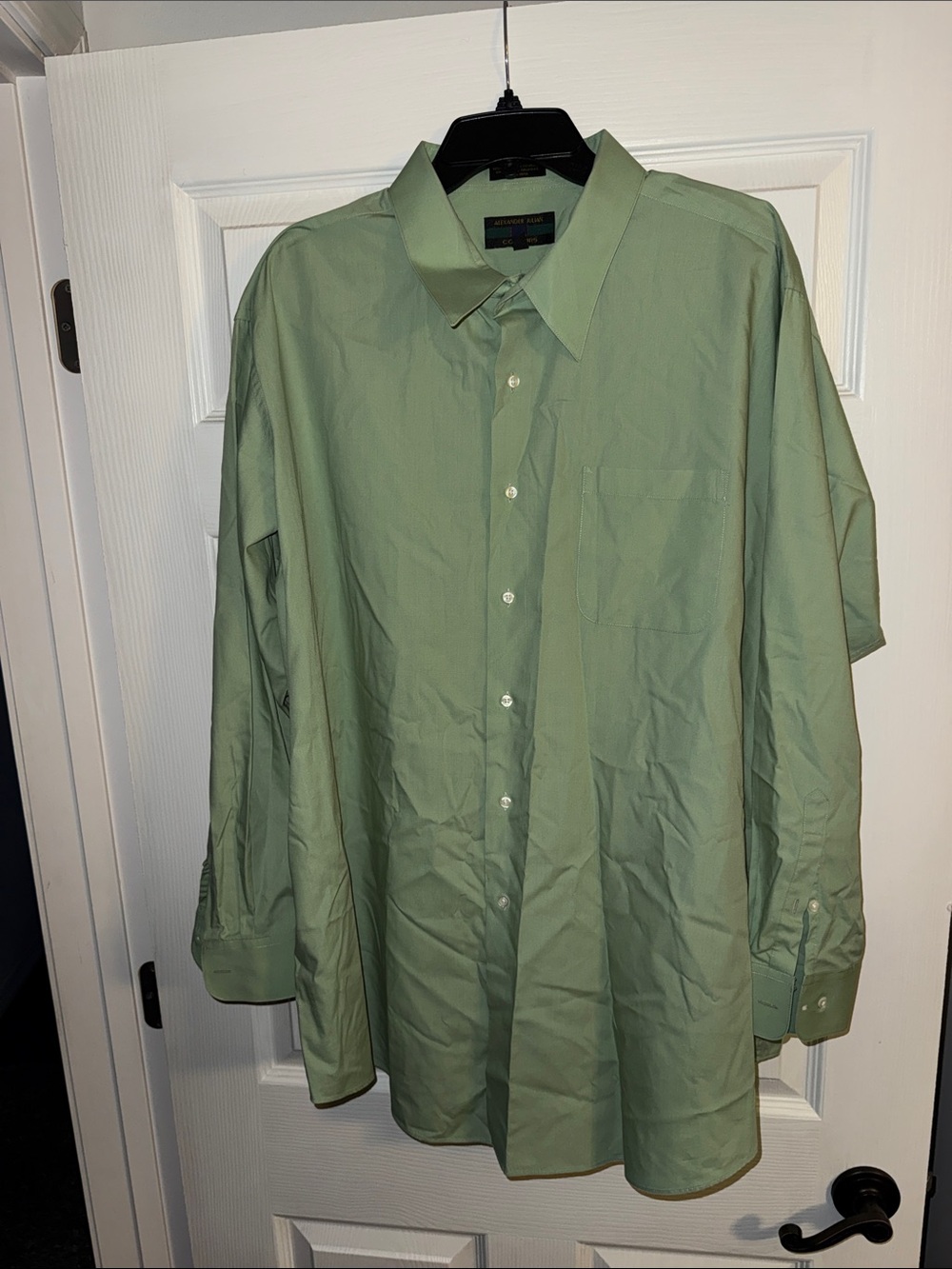 Alexander Julian Men's Pale Green Button-Up Dress Shirt
